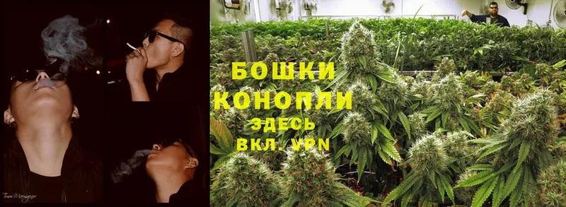 Каннабис Ganja  Советский 